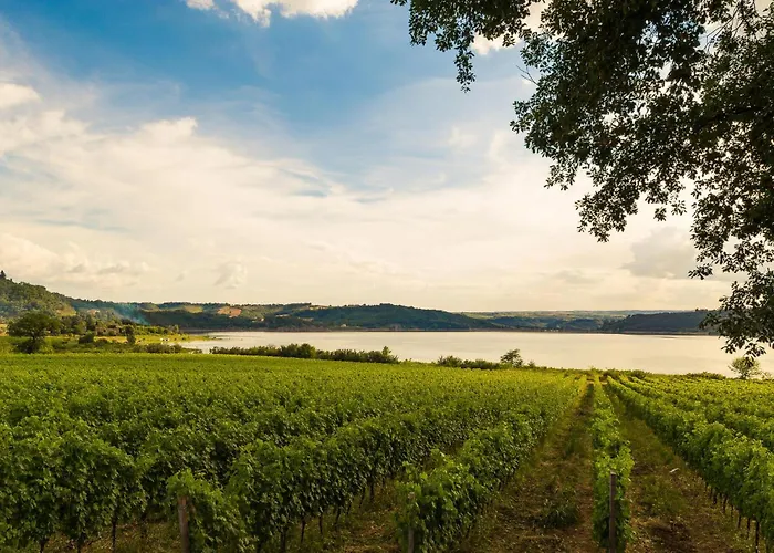 Awesome In With Sauna Magione